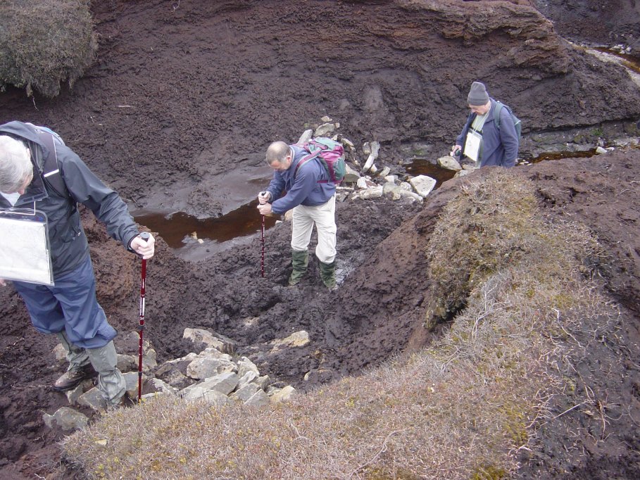 In the peat bogs on Kinder